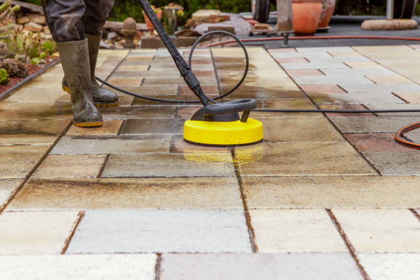 Animal Enclosure Cleaning in Foster Brook, PA